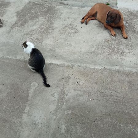 Lovas Vendeghaz Appartement Obanya Buitenkant foto