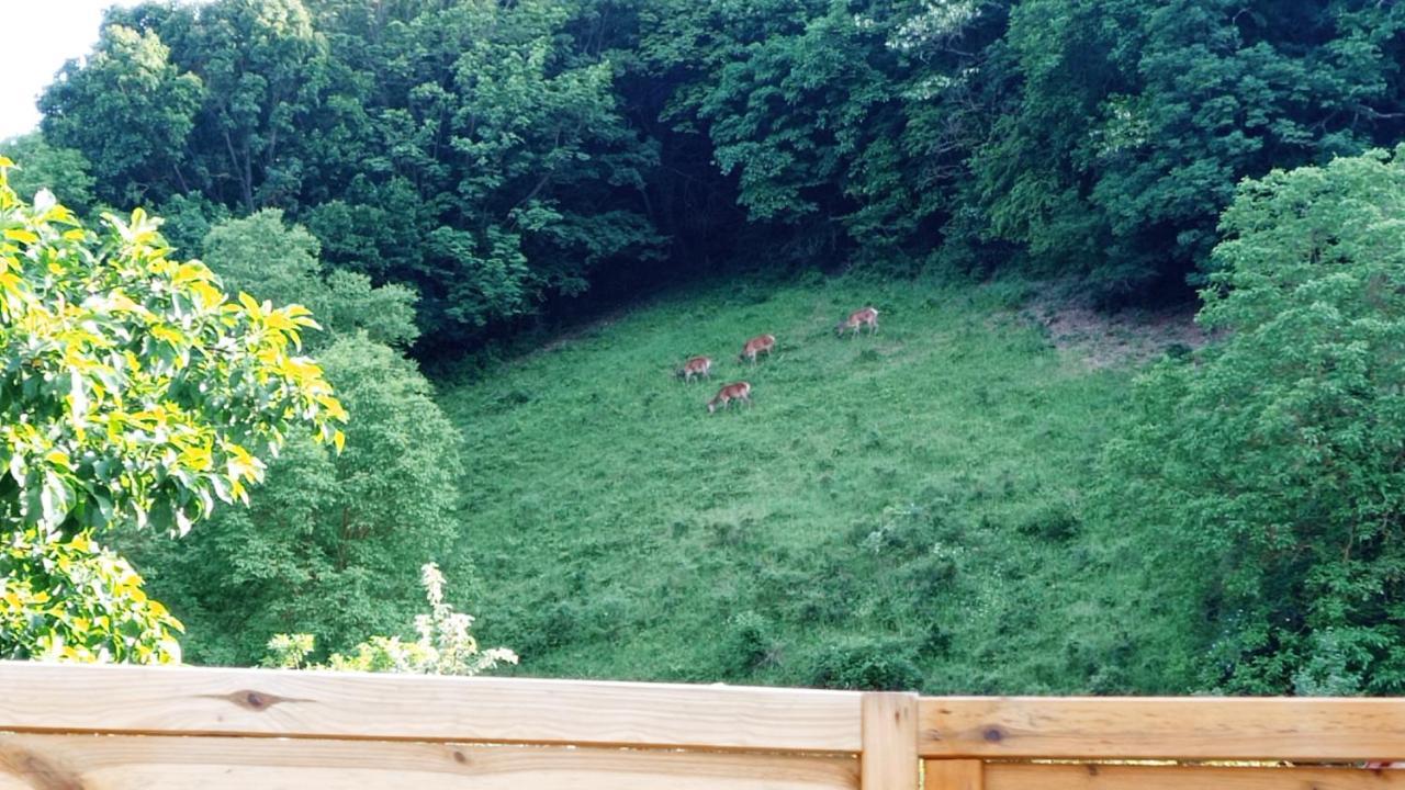 Lovas Vendeghaz Appartement Obanya Buitenkant foto
