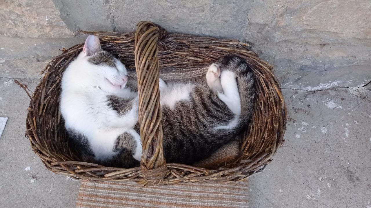 Lovas Vendeghaz Appartement Obanya Buitenkant foto