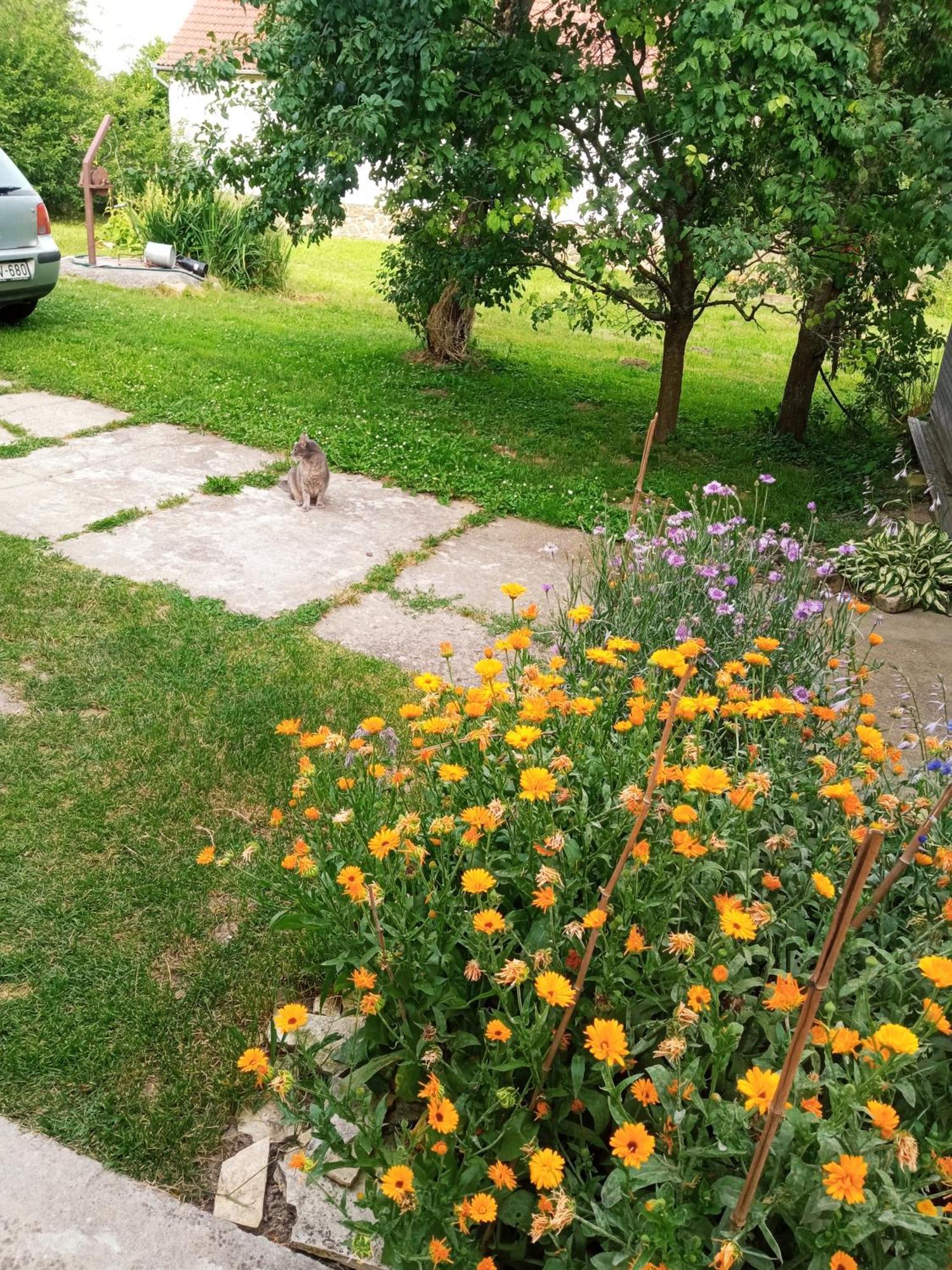 Lovas Vendeghaz Appartement Obanya Buitenkant foto
